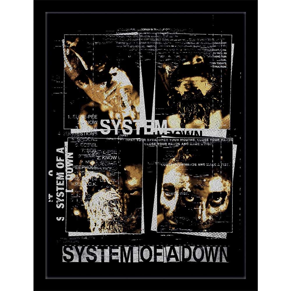 SYSTEM OF A DOWN システムオブアダウン - Distortion / インテリア額 - PGS